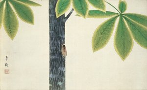 蝉